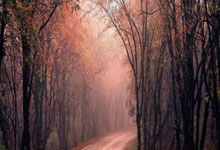 壹号娱乐：亚冬会｜中国冰壶男、女队取连胜新华网.