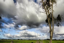 英格兰队人名单：夸安萨、吉布斯-怀特、拉姆斯代尔落选.